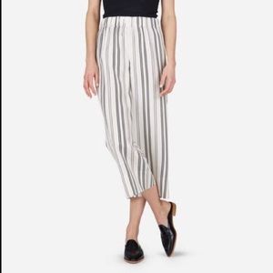 Everlane Silk Striped Pants